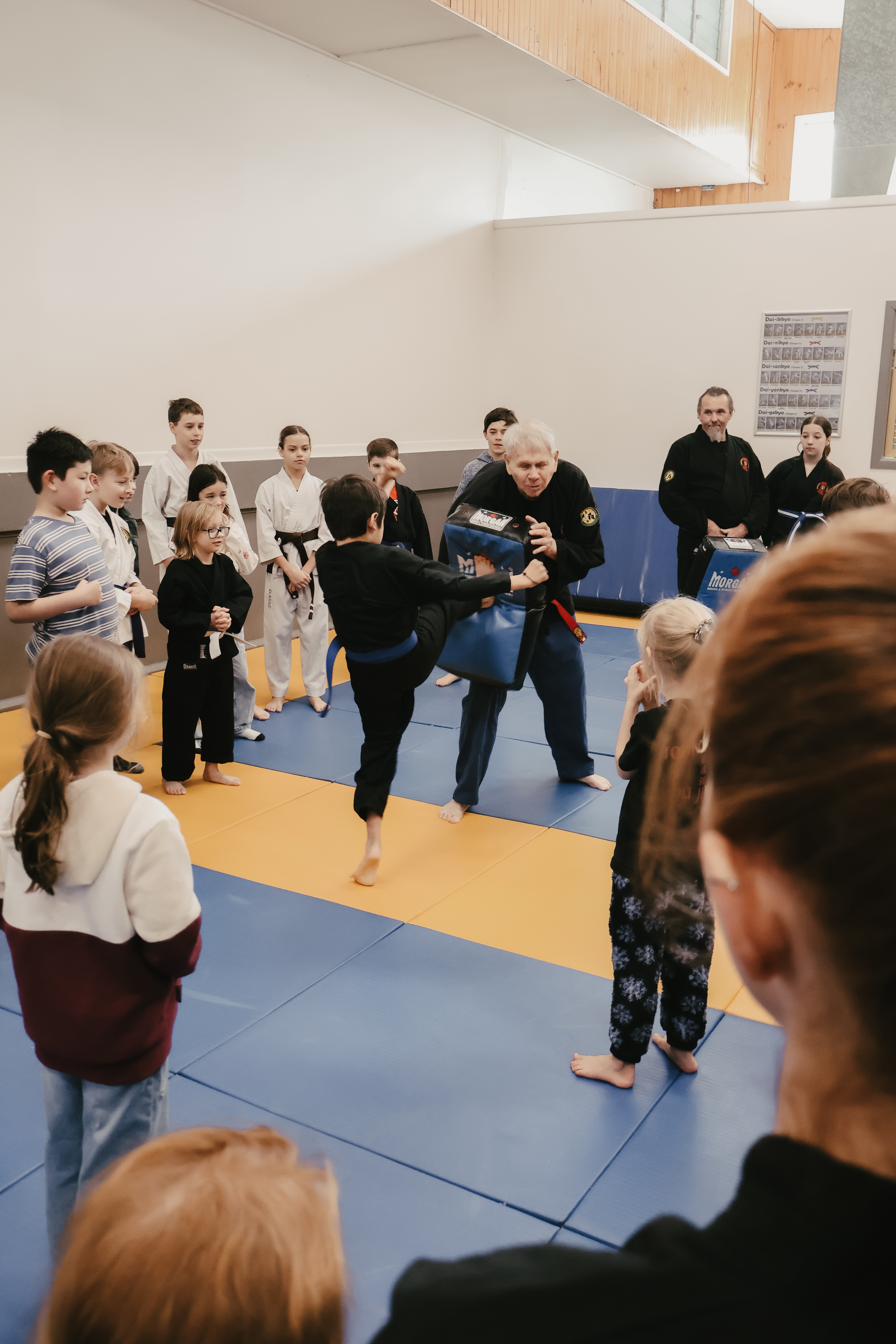 Mixed Tohkon Ryu class with students of all ages training together